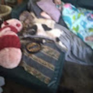 Meet your Posher, Loyd